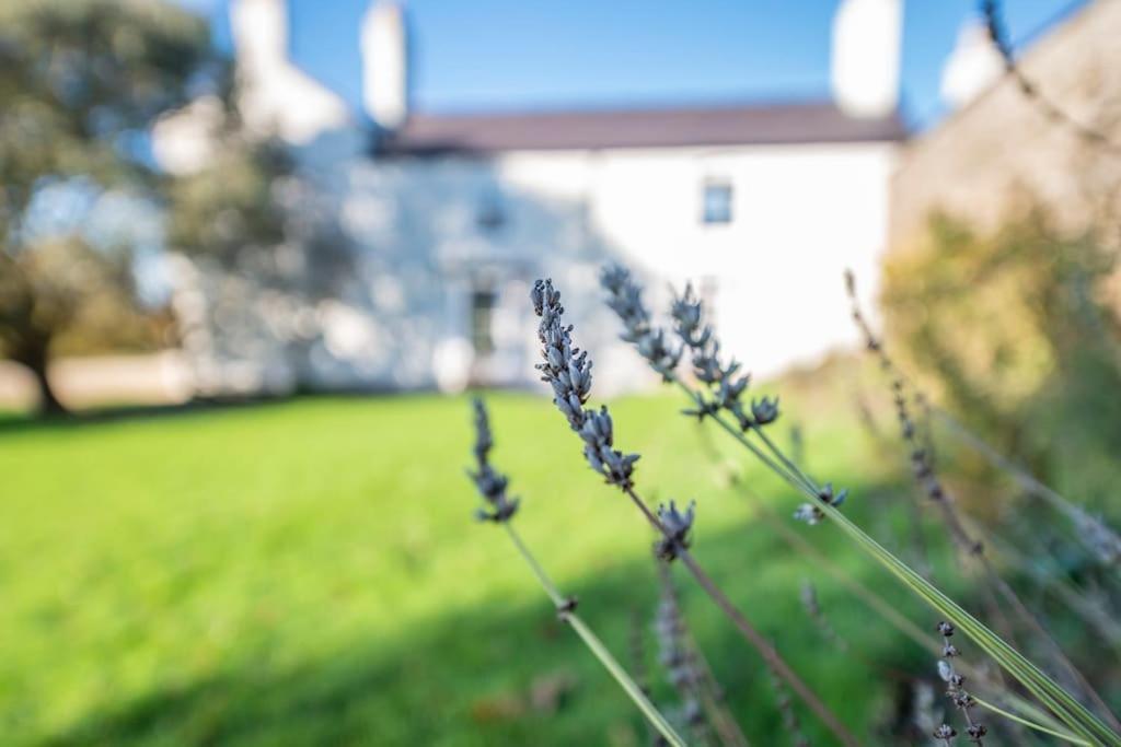 Georgian Country House -Panoramic Views -Sleeps 12 รูธิน ภายนอก รูปภาพ